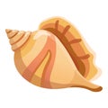 Single shell icon, cartoon style