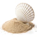 Shell on a pile of sand isolated on white background Royalty Free Stock Photo