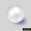 Single shiny natural white sea pearl with light effects isolated on transparent background. Vector illustration. 3D pearl ball Royalty Free Stock Photo