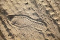 Single shoeprint in a beach sand left by a person