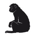 Single silhouette of realistic monkey sitting side view Royalty Free Stock Photo