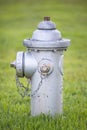 A single silver fire hydrant on a front lawn of grass