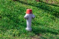 Single silver red fire hydrant with number 192 on a green spring meadow and yellow flowers, by day Royalty Free Stock Photo