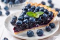 Single slice of blueberry fruit tart on plate