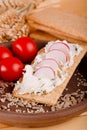 Single slice of crispy bread with curd cheese and radishes Royalty Free Stock Photo