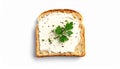 Single Slice of Toast with Cream Cheese and Parsley Garnish on White Background bread spread Royalty Free Stock Photo