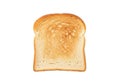 Single slice of toasted white bread on white background Royalty Free Stock Photo