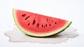 a single slice of watermelon with seeds on white background