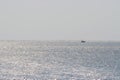 Single Small Boat near Horizon in Infinite Ocean with Silver Reflections on Sunny Day