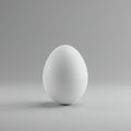 A single, smooth white egg stands upright against a plain gray background. The egg\'s Royalty Free Stock Photo