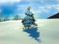 Single snow covered pine tree in blanket of smooth snow with footprints