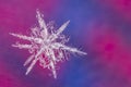 Single snow flake on colorful background