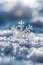 Glistening Snowflake in Perfect Form Royalty Free Stock Photo
