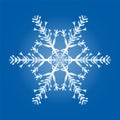 Single Snowflake Geometric Pattern