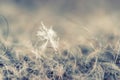Single snowflake on a wool mitten Royalty Free Stock Photo