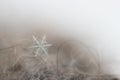 Single snowflake on a wool mitten Royalty Free Stock Photo