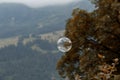 Single soap bubble in nature Royalty Free Stock Photo