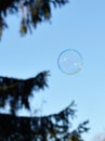 Single soap bubble outdoor Royalty Free Stock Photo