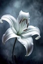 A single solitary bloom of a Lilium longiflorum also called Easter or November Lily. Generative AI