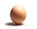 Single Brown Speckled Egg Casting a Soft Shadow on a Clean White Studio Background with Dramatic Lighting Royalty Free Stock Photo