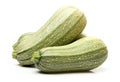 Single squash vegetable marrow zucchini Royalty Free Stock Photo
