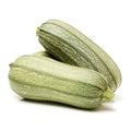 Single squash vegetable marrow zucchini Royalty Free Stock Photo