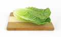 Single Stalk Romaine Lettuce Royalty Free Stock Photo