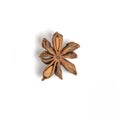 single star anise close up isolated on a white background (spices cut out) indian cuisine (licorice seed) Royalty Free Stock Photo