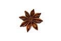 A single star anise isolated on white background, Star aniseed or Chinese star anise seed Royalty Free Stock Photo