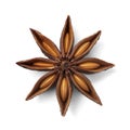 Single star anise and seed seen from above on white background Royalty Free Stock Photo