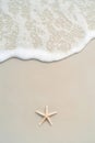 Single starfish on sandy beach with wave foam Royalty Free Stock Photo