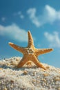 A single starfish sits on a sandy beach with a bright blue sky and white clouds in the background Royalty Free Stock Photo