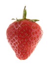 Single strawberry Royalty Free Stock Photo