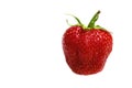 Single strawberry Royalty Free Stock Photo