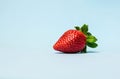 Single strawberry on a blue background Royalty Free Stock Photo