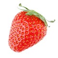 Single strawberry fruit Royalty Free Stock Photo