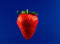 Single Strawberry Isolated on a Mottled Blue Background