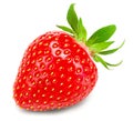 Single strawberry isolated on white background. macro. clipping path Royalty Free Stock Photo