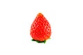 single strawberry isolated Royalty Free Stock Photo