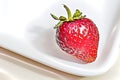 Single strawberry on a white plate Royalty Free Stock Photo