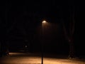 Single street lamp in a public park at night during snowfall Royalty Free Stock Photo