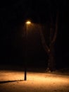 Single street lamp in a public park at night during snowfall Royalty Free Stock Photo