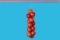 single string of Spanish tomatoes for hanging Royalty Free Stock Photo