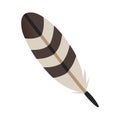 A single stylized feather with brown and white striped markings shown Royalty Free Stock Photo