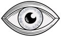 Single stylized human eye illustration in black and white with lashes, iris, and pupil Royalty Free Stock Photo