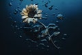 a single sunflower floating in water with drops of water