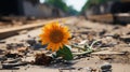 a single sunflower sits on the ground in front of a train track