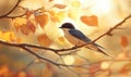 A single swallow resting on a tree branch, autumn leaves in the background Royalty Free Stock Photo