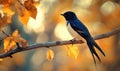 A single swallow resting on a tree branch, autumn leaves in the background Royalty Free Stock Photo