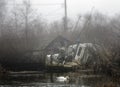 A single swan in a dirty pond next to an abandoned boat and a creepy cabin Royalty Free Stock Photo